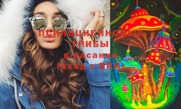 спиды Бронницы