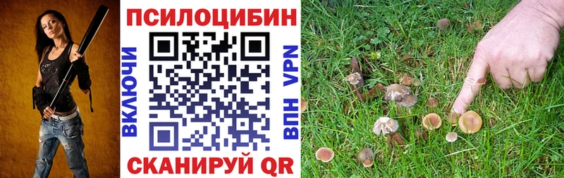 Псилоцибиновые грибы Cubensis  Сургут 